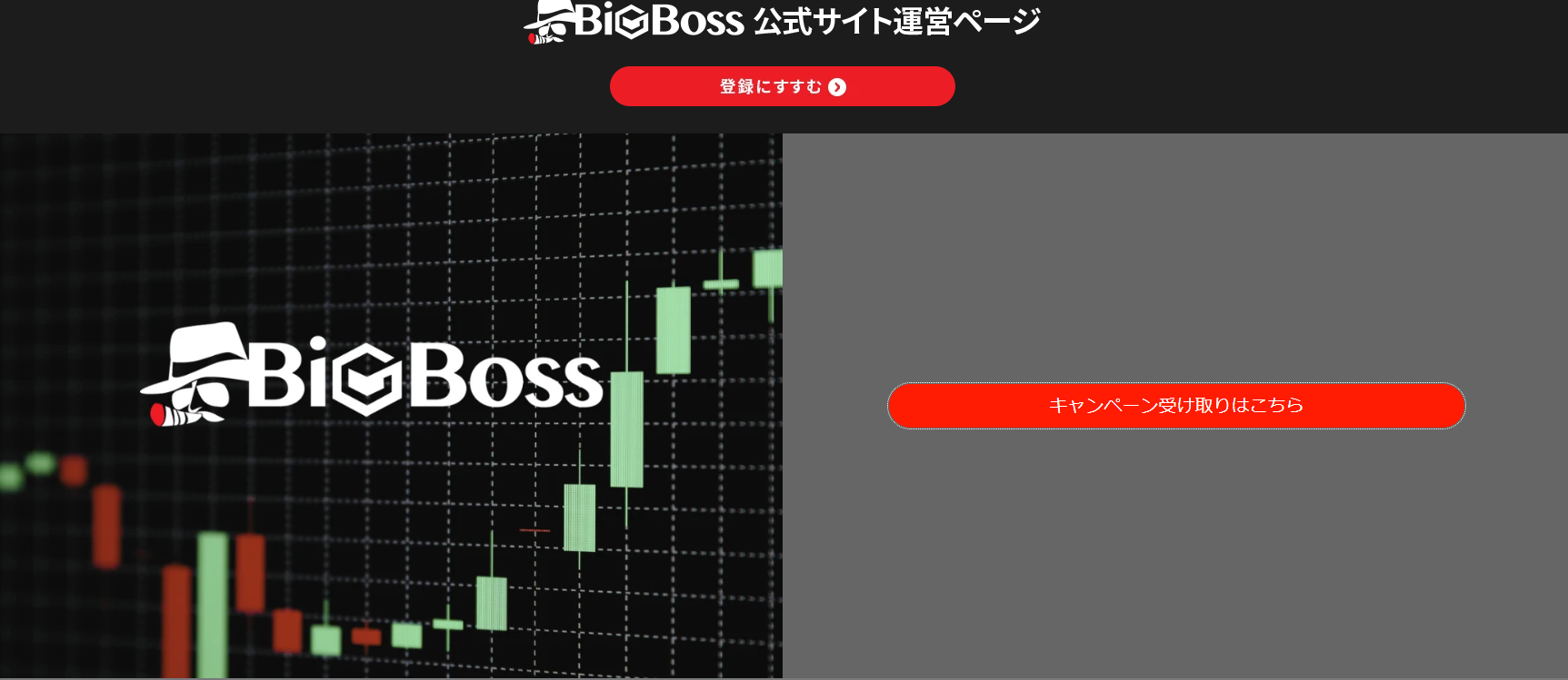 BigBoss-1