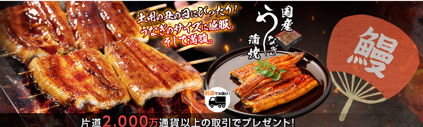 hirose-campaign
